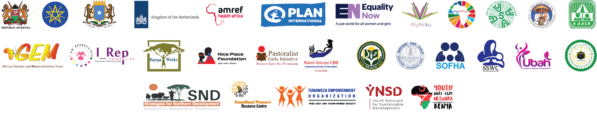 Future4Binti, Kingdom of the Netherlands, Amref Health Africa and Plan International